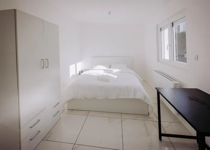 Chambre Privative A Toulouse Avec Sa Sdb